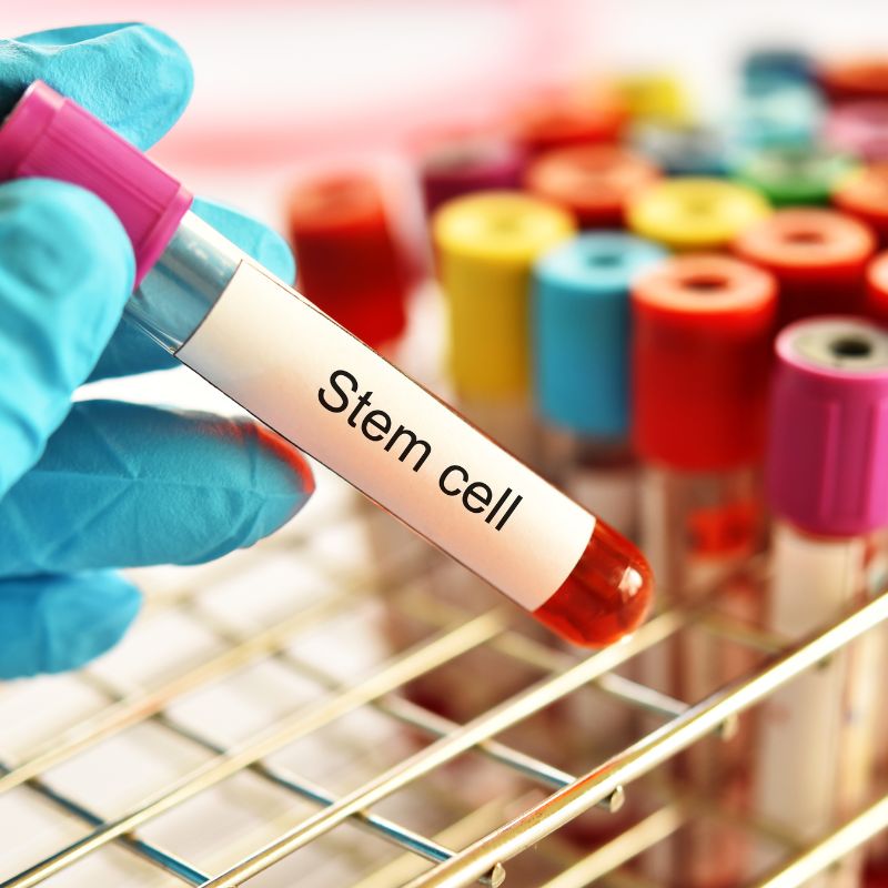 Stem Cells: The Future of Personalized Cancer Treatment